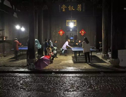 原来如此震撼，这是义乌农村——根的力量