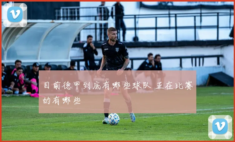 目前德甲到底有哪些球队 正在比赛的有哪些
